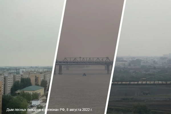 86.ru/text/ecology/2022/08/08/71552414/