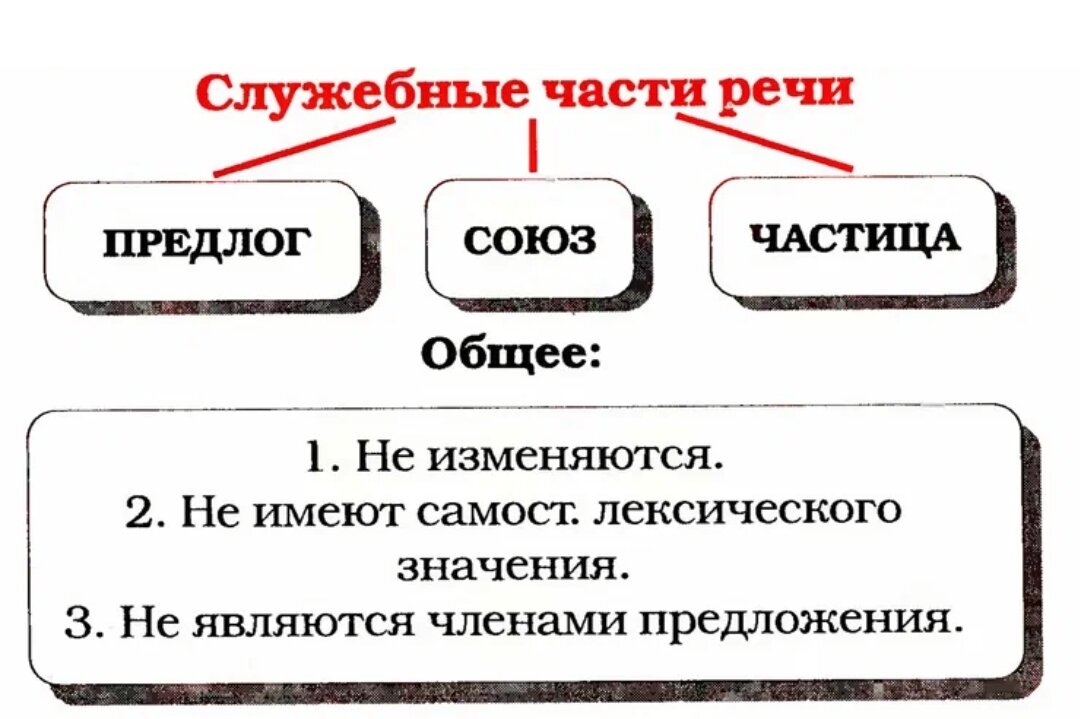 Служебные части речи в русском языке таблица