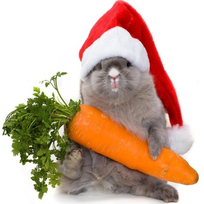 Рецепт салата морковка для новогоднего стола