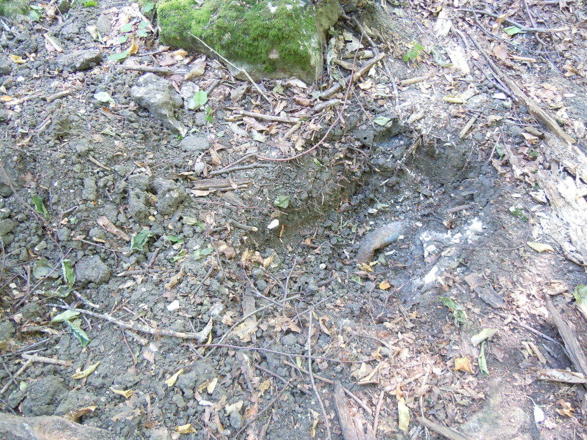 Вот как оправдывают лесорубы хаотичную прокладку ими глубоких, до глины, трелёвочных дорог через леса, поверх старых аккуратных грунтовок, ещё и разрушая при этом древние поселения и могильники разных-53