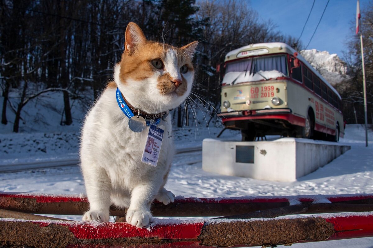 Познакомился с троллейбусом-тружеником! 
