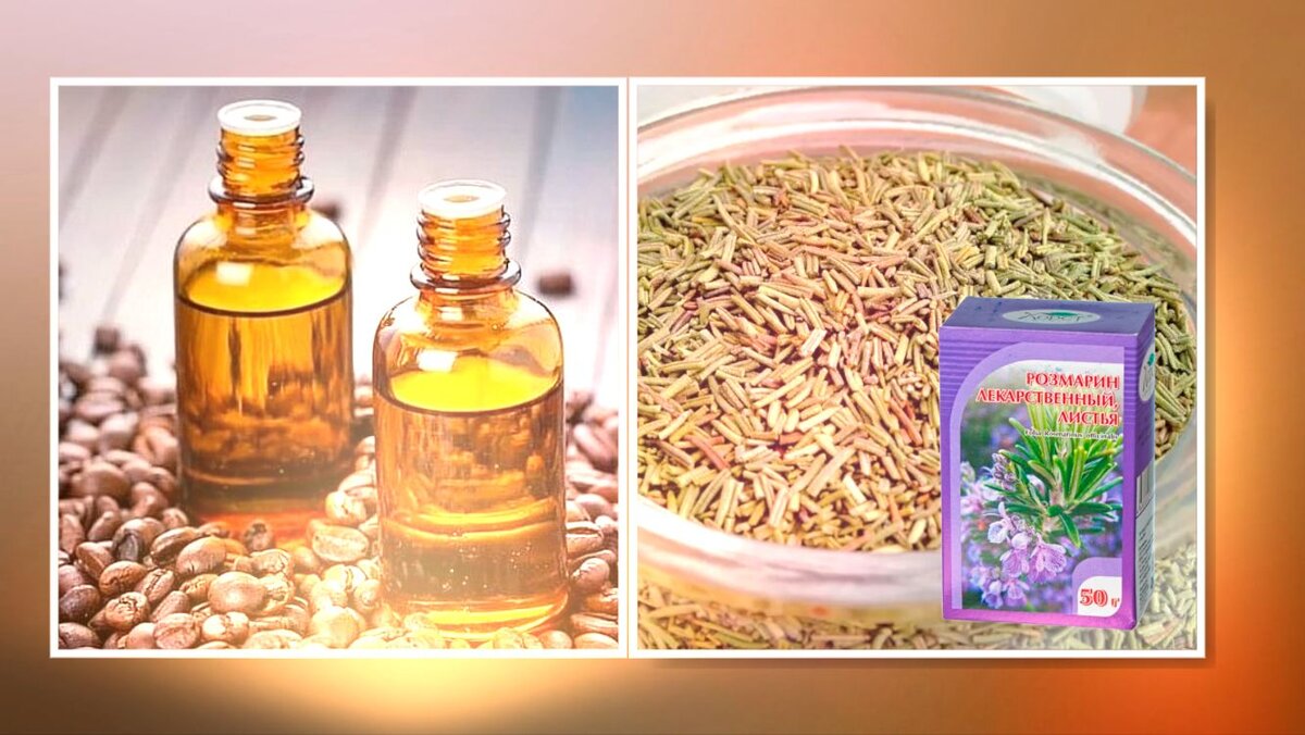 Розмарин выгоднее брать не в маленьких упаковках, как приправу, а как аптечную траву или на маркетплейсах, где можно и по 200 г фасовки найти // коллаж автора, изображения wildberries.ru, chem-polezno.com