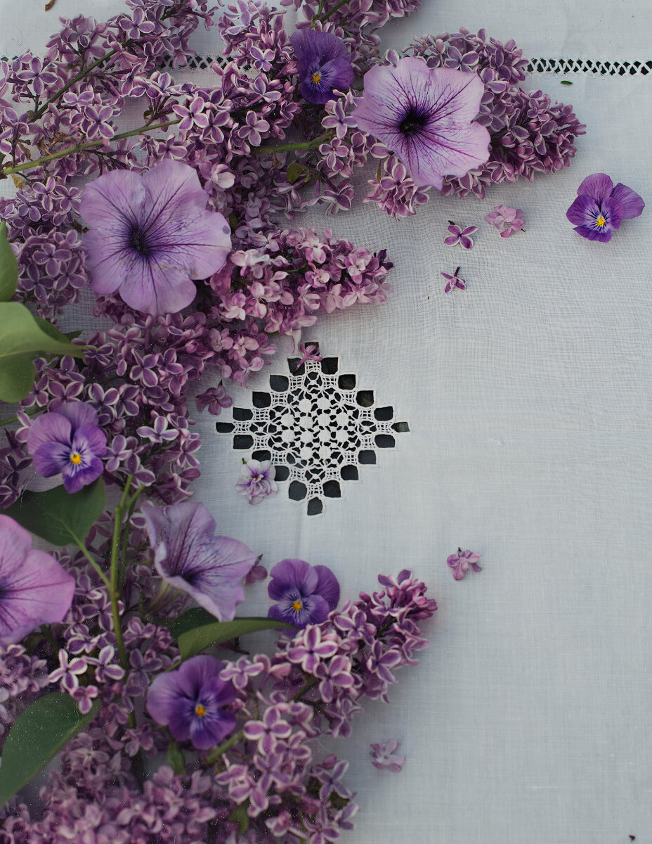 Сирень Сенсация, Петуния Изи Вейв Плюм Пудинг (Биотехника)