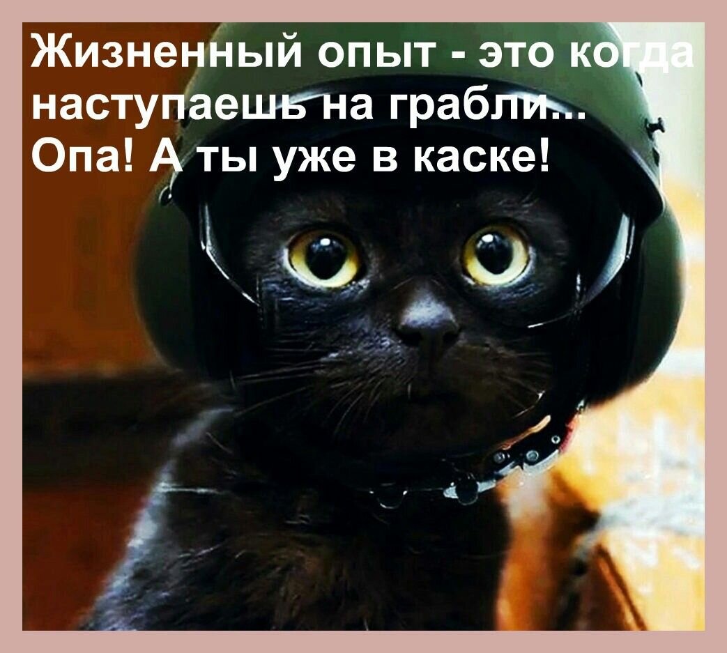  Фото из картинок yandex.ru