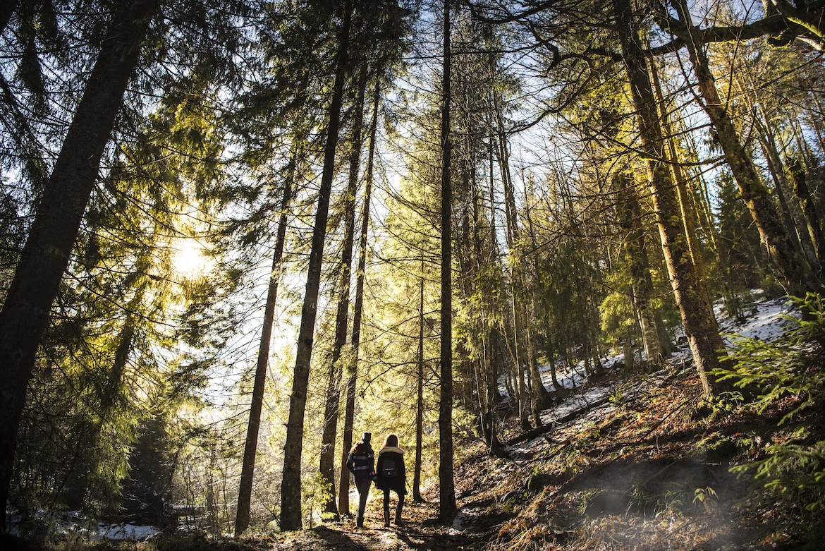 Фото: Larisa Birta, Unsplash 