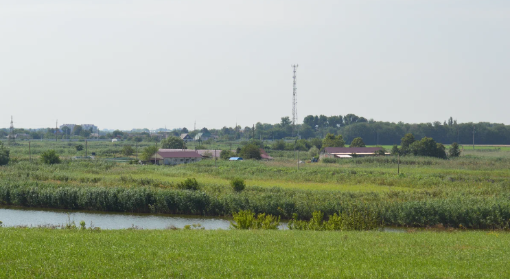 Фото автора. 25.07.2023.  На Кубани лето в самом разгаре. 