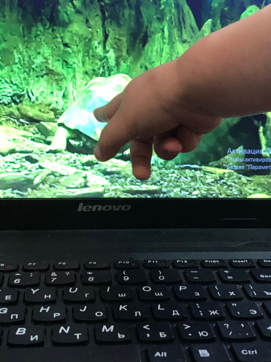 ДимДимыч смотрит ролики со мной. 