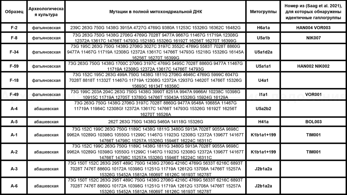 Днк от 13 мая 2024