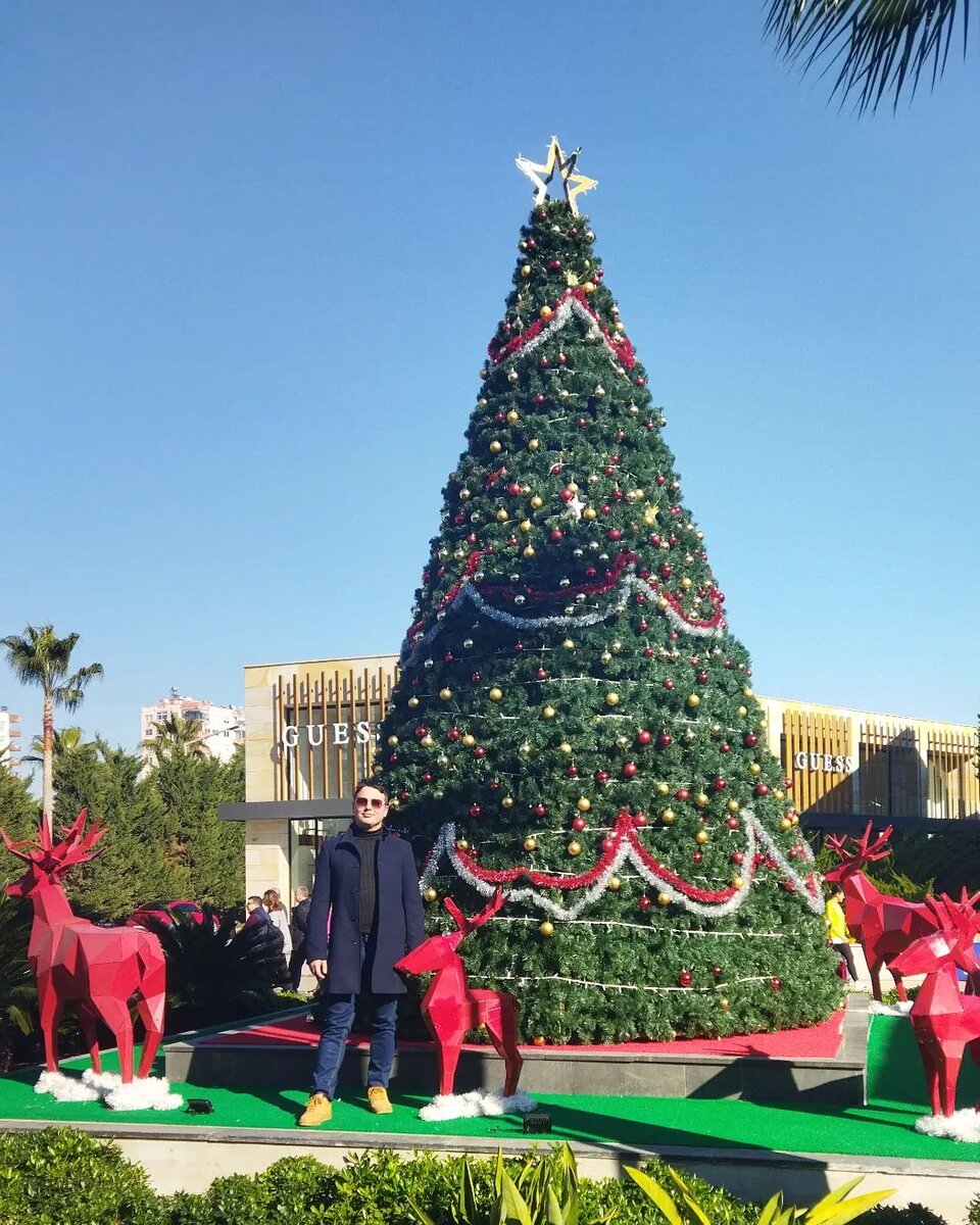 31 декабря, Мерсин Марина