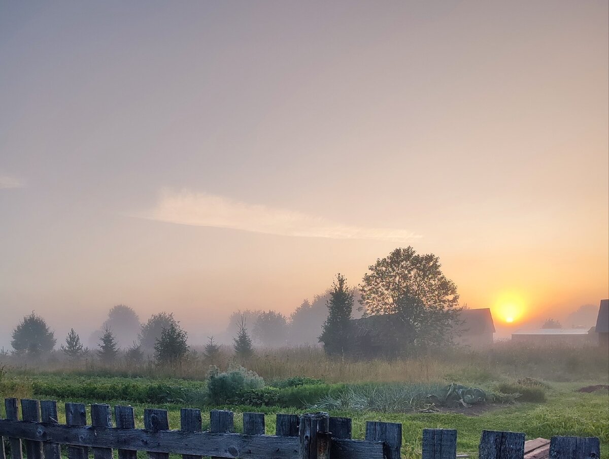 Август. Розовый вечер. Фото Татьяны ОБОРИНОЙ. 