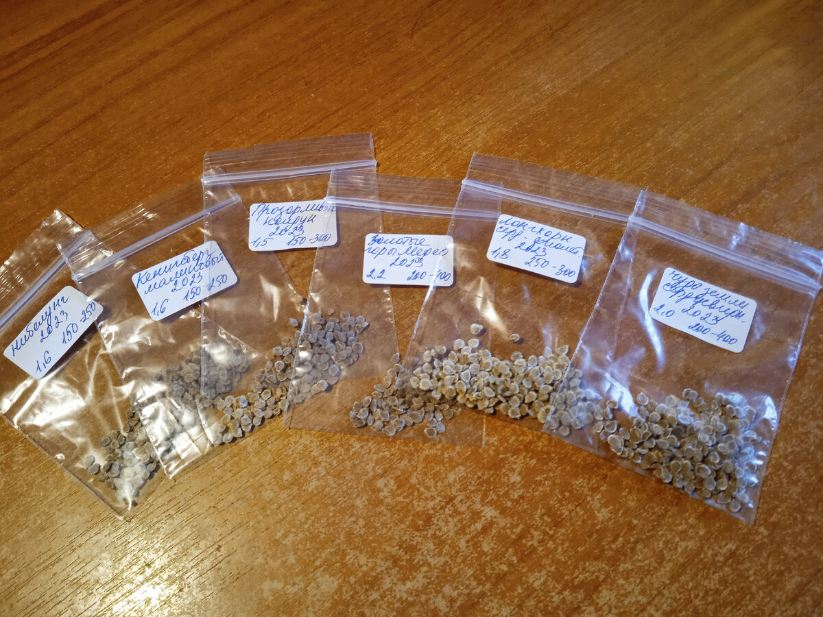 готовые пакетики с семенами
