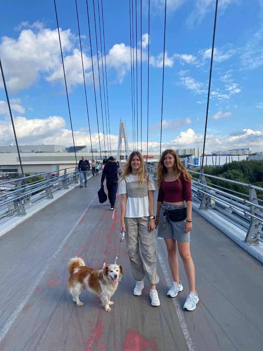 Мост перед Вегасом Мякинино 