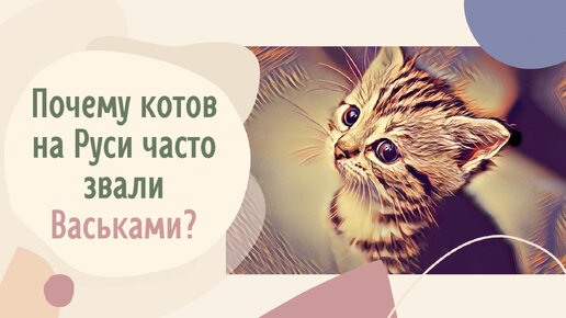 Почему котов на Руси часто звали Васьками?