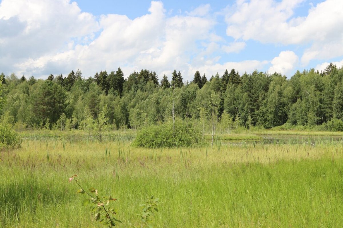    Исчез давно.