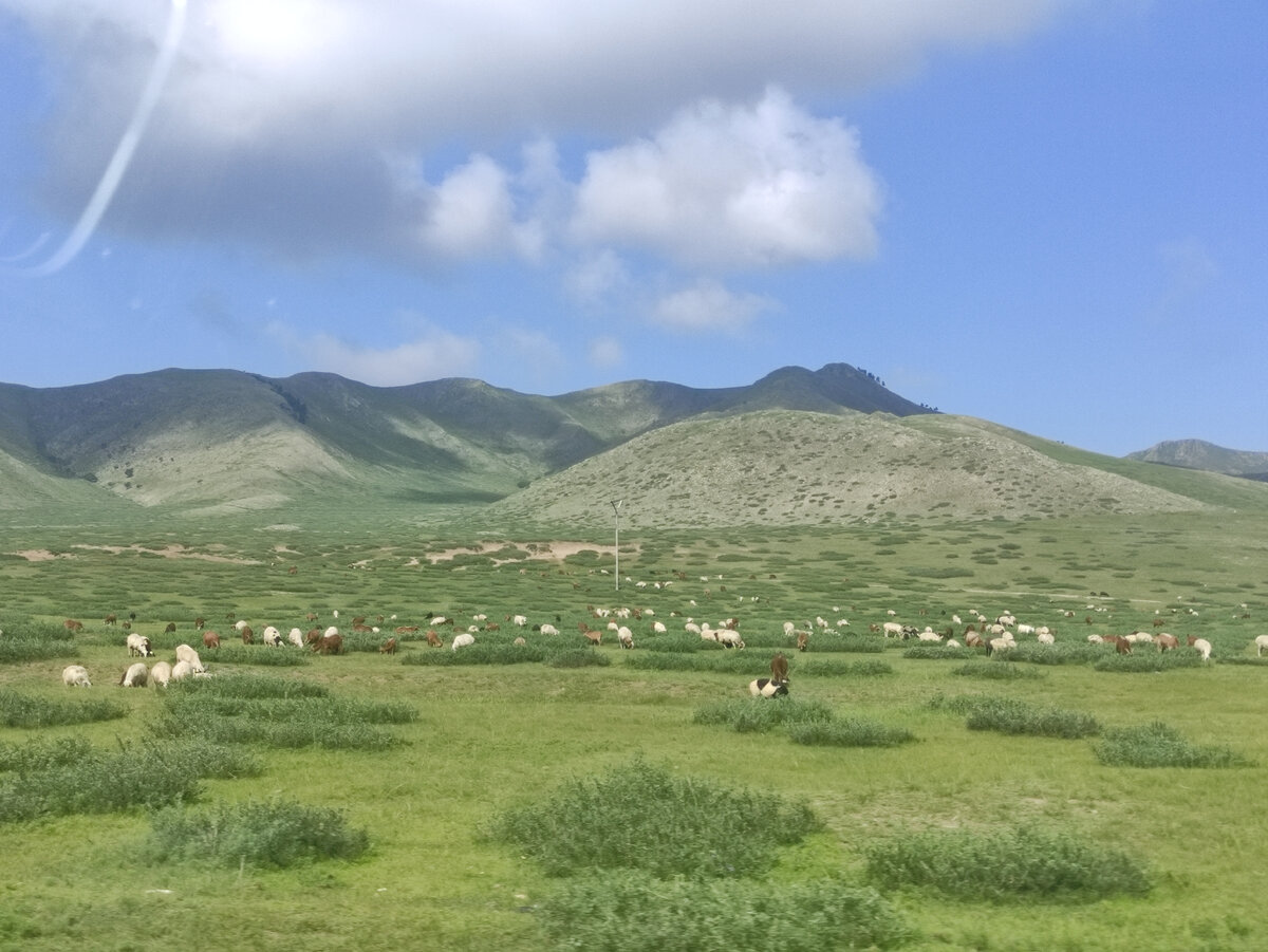 Просторы Монголии. 