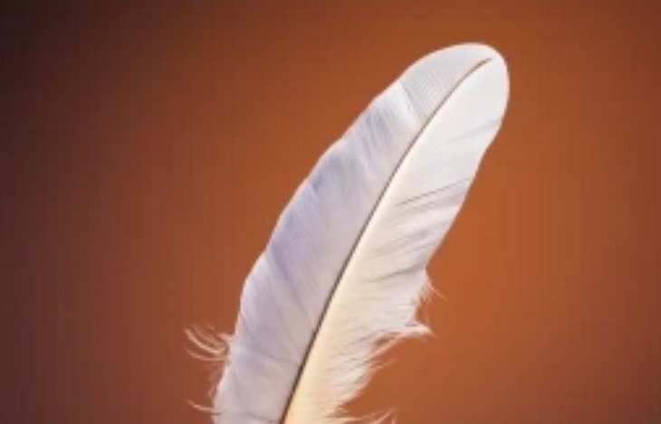    Новосибирская область открыла новое экспортное пухово-перьевое направление