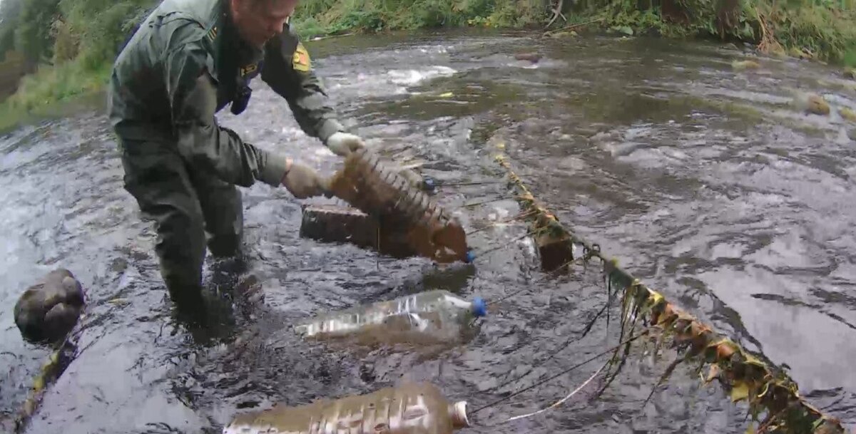 Фото: пресс-служба комитета по природопользованию