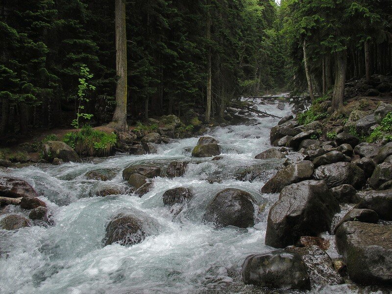 фото взято на сайте https://travelask.ru/questions/111767-nazovite-krupneyshie-reki-severnogo-kavkaza