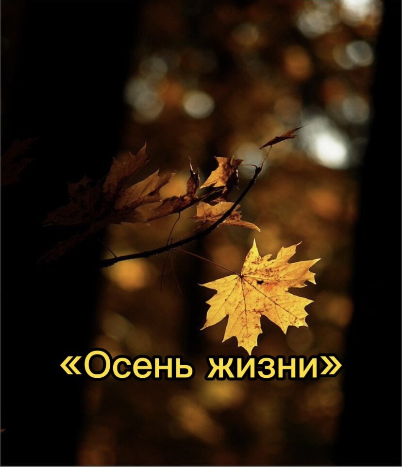 Осень падает. Осенняя листва. Падающие листья. Листва на ветру. Падающий кленовый лист.