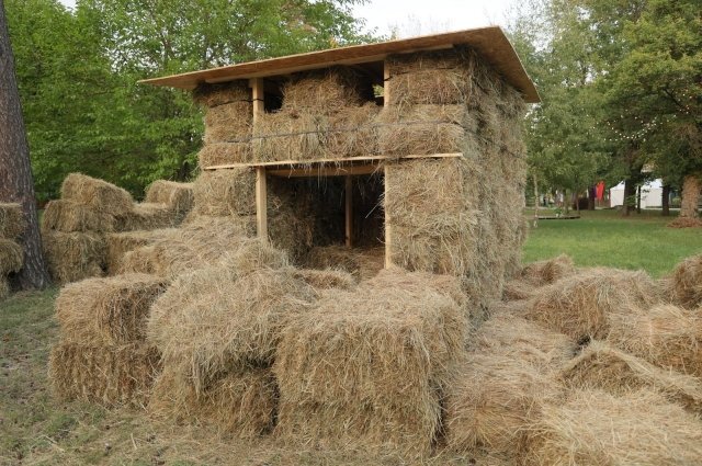    Что ни в коем случае нельзя делать 10 сентября, на Анну и Савву Скирдников?