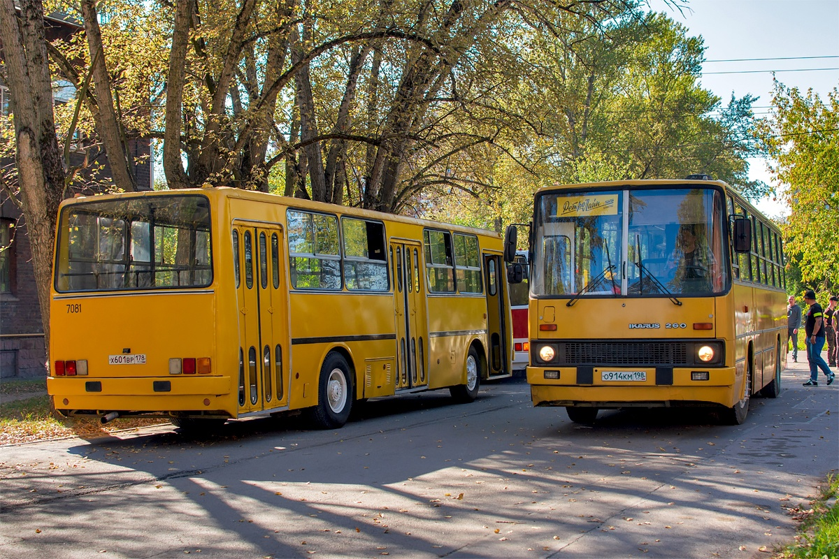 "Икарусы-260" от "Ретролайна" и "Пассажиравтотранса" 