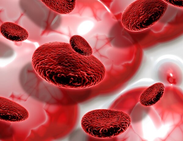  Кровь и плазма — два основных компонента, составляющих кровеносную систему организма. Несмотря на то, что они тесно связаны и взаимодействуют друг с другом, у них есть ряд существенных различий.