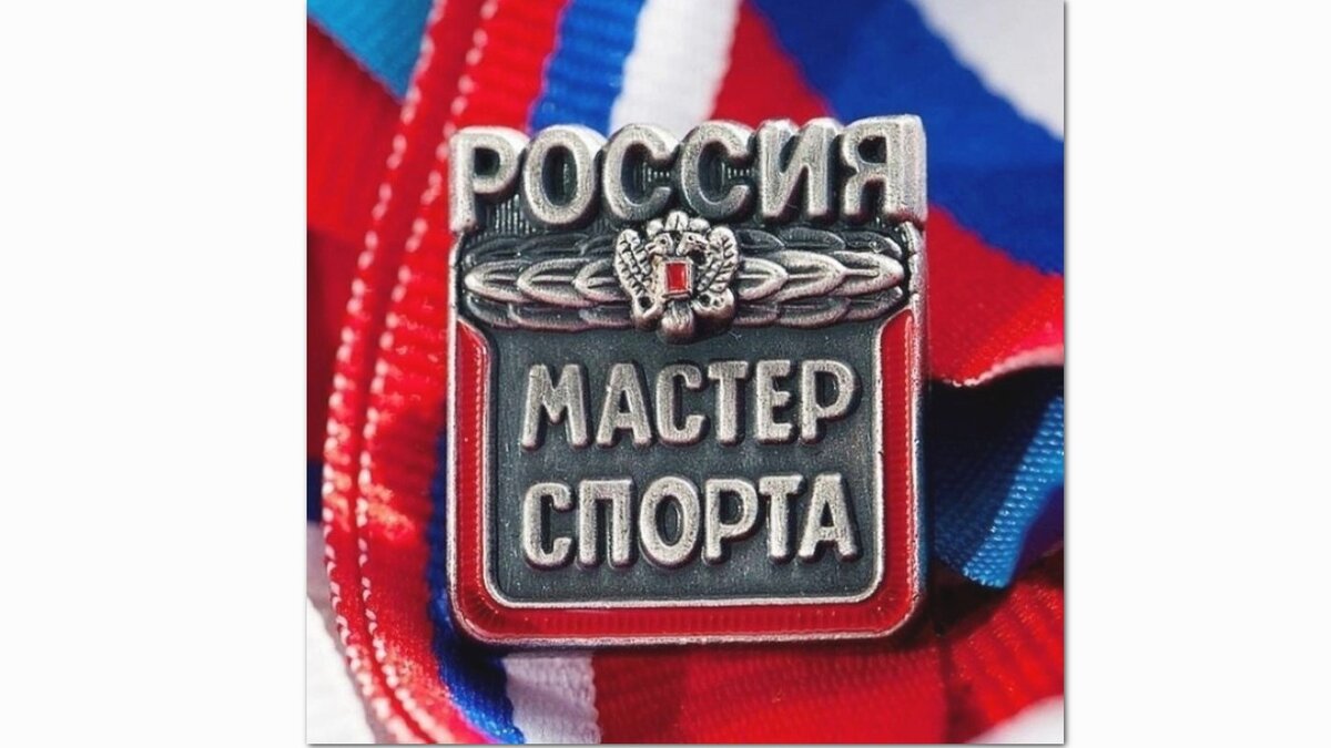    Шесть спортсменов из Курской области получили звание «Мастер спорта России»