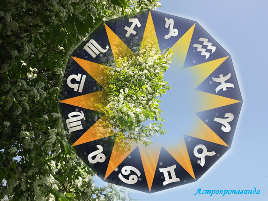 Коллаж Нины Стрелковой.