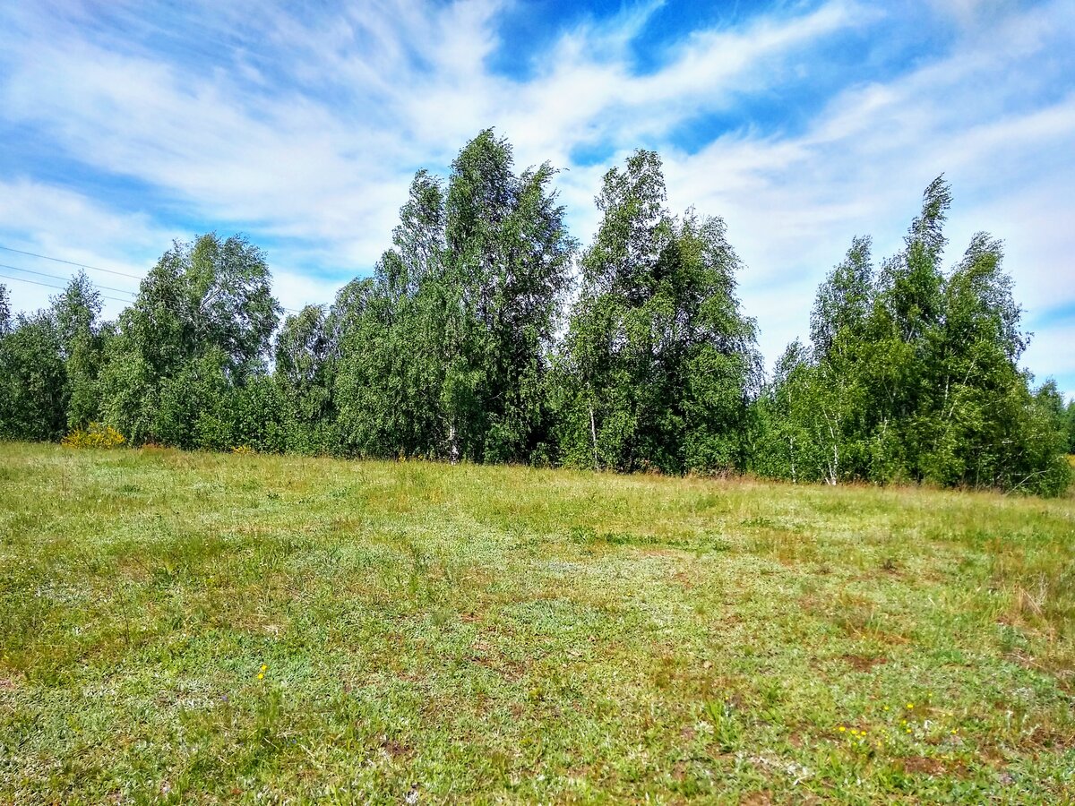 Мулловка ульяновская область. Село Мулловка Ульяновская. Село Мулловка Новгородской обл. Мулловка Ульяновская область Сосновый Бор.