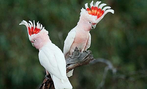 Источник фото: stunninglist.com