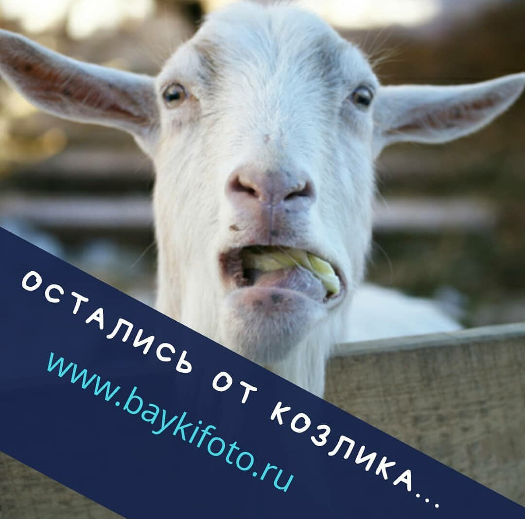 Рожки козлика на ободке. Жил был у бабушки серенький козлик. Потешка серенький козлик. Жил был к бабушки серенький козлик потешки. Остались от козлика.