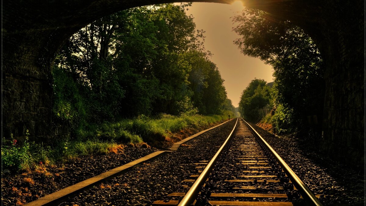 фото из интернета