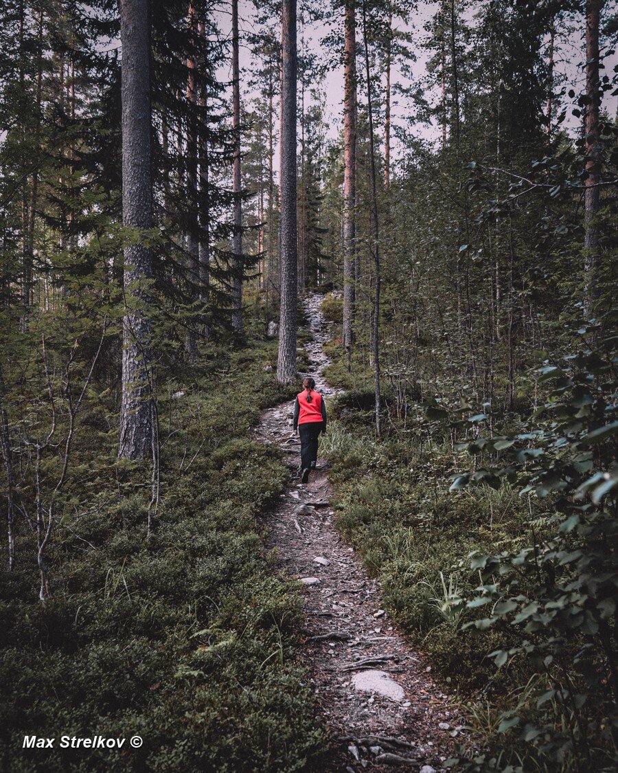 Дорога зовет. В дорогу зовущие.