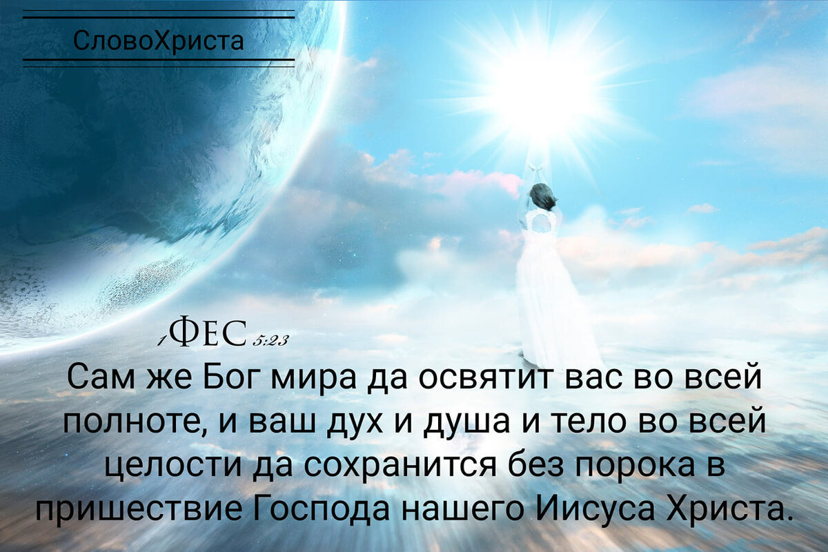 Святость, без которой никто не увидит Господа