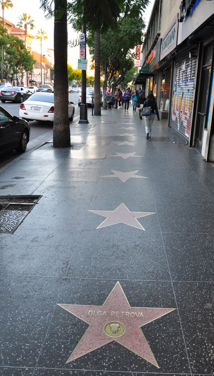 фото взято с topcrop.ru