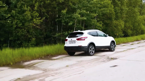 Как вам дорога для пузотёрок?