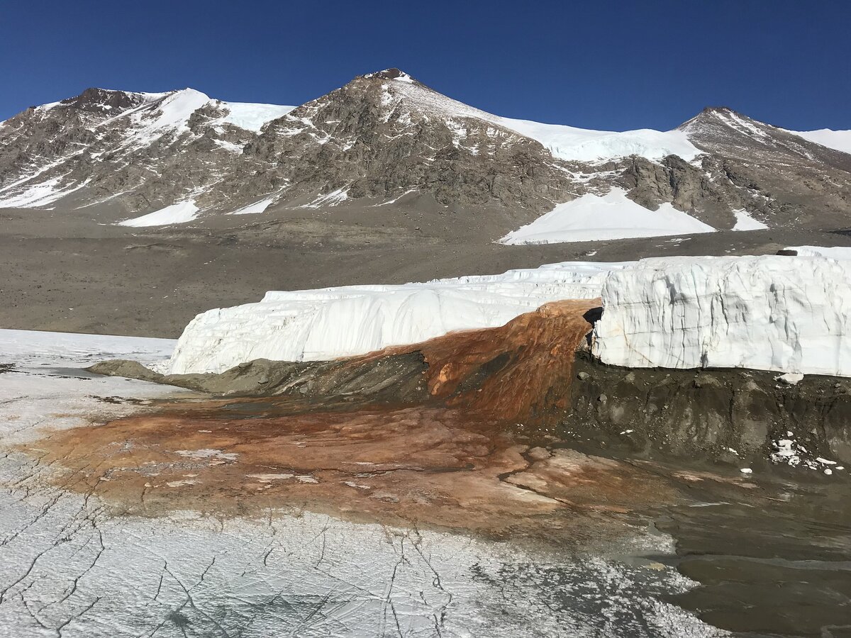 Источник фото: www.flickr.com