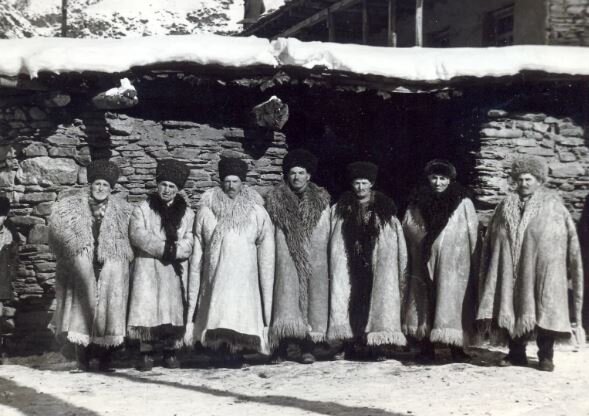 Фото взято из открытого источника