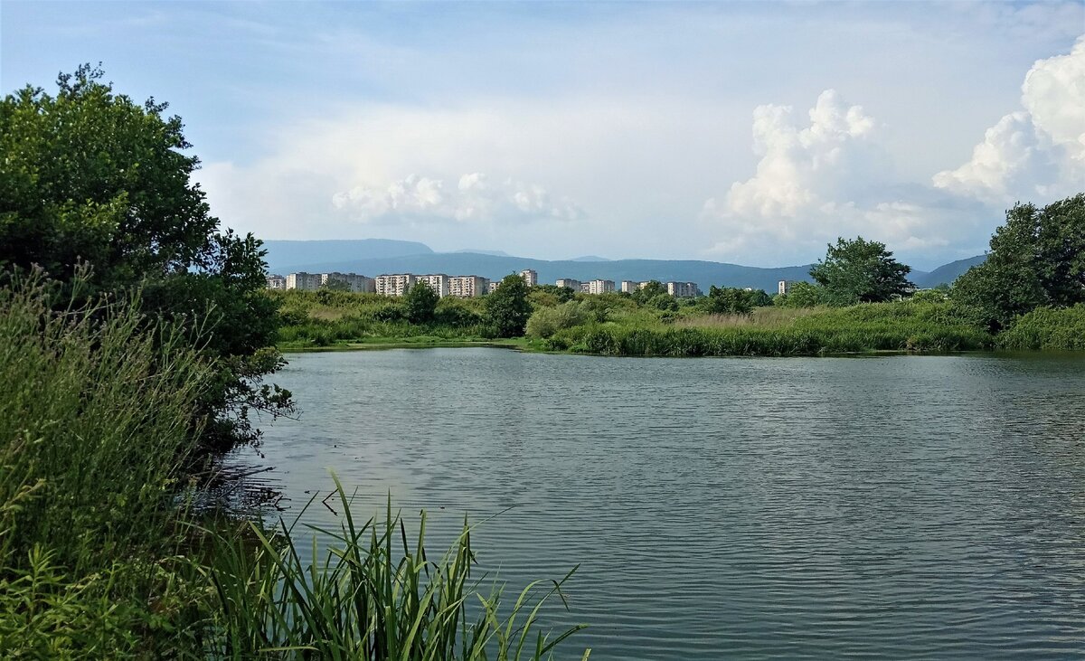 Непримечательное Сухумское озеро (Абхазия, Сухум) | Путевые заметки | Дзен