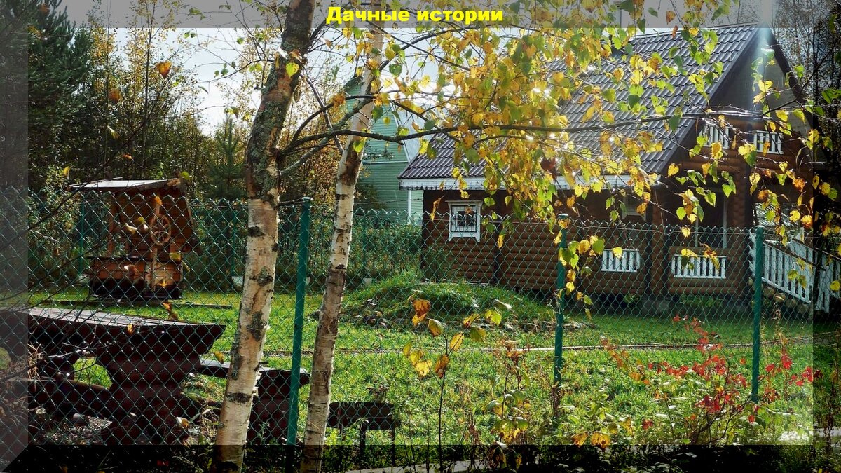 https://vk.com/photo-159774511_457242374