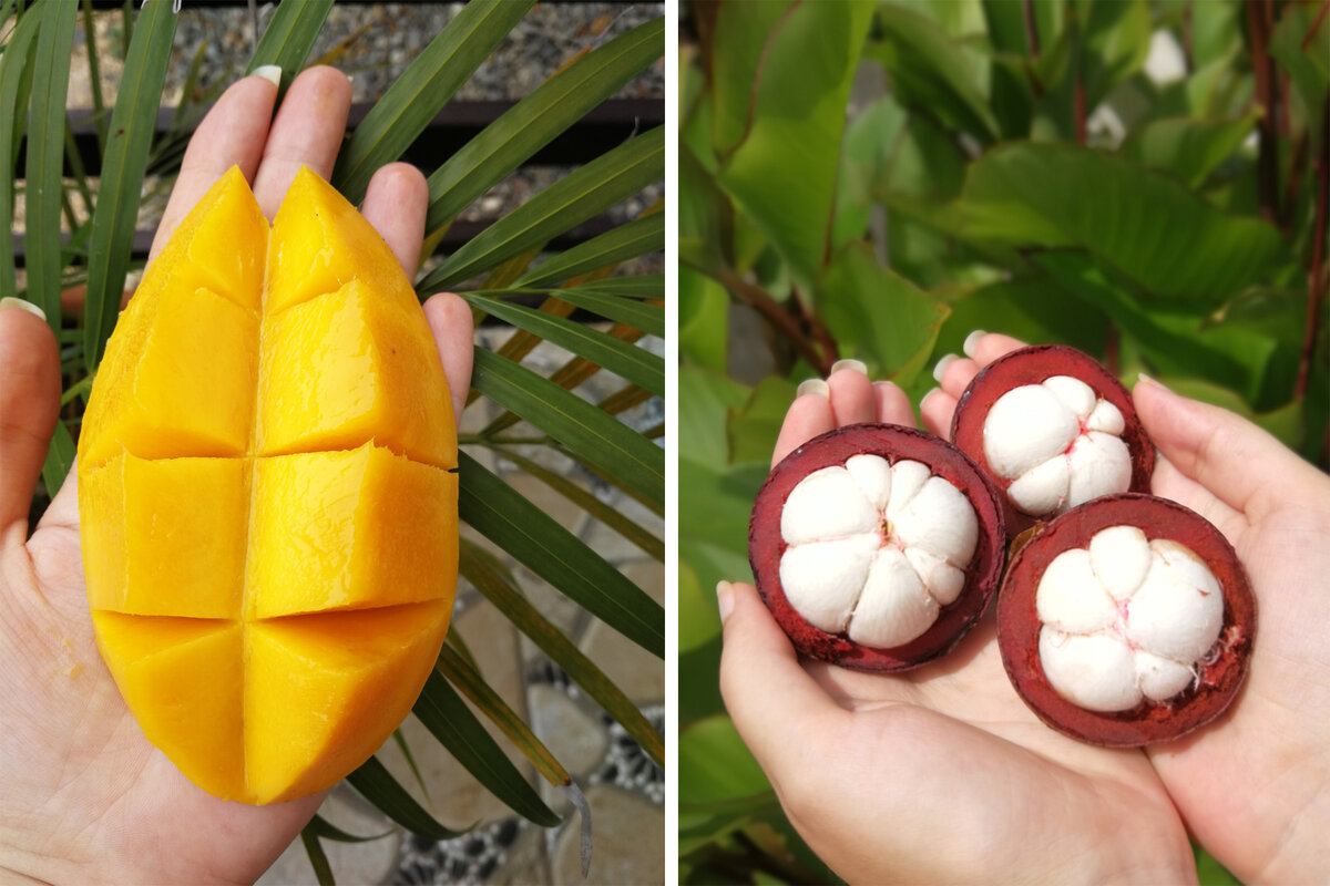 манго и мангостины