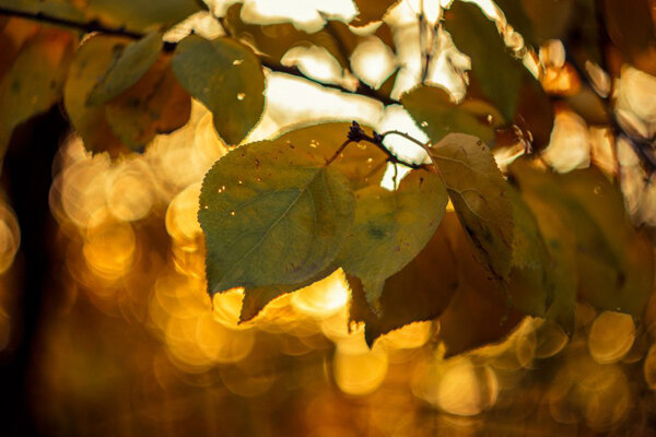 Фото сделанное на helios 44-2 58/2