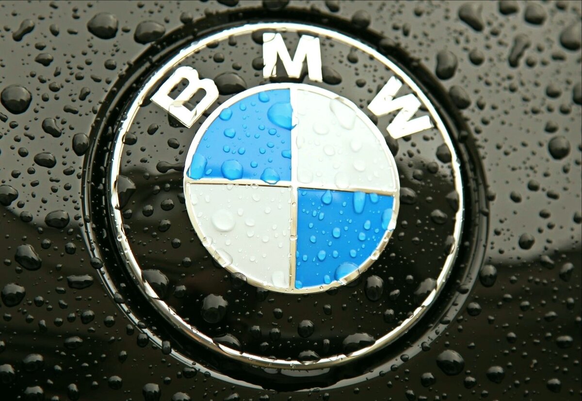 BMW logo 2000