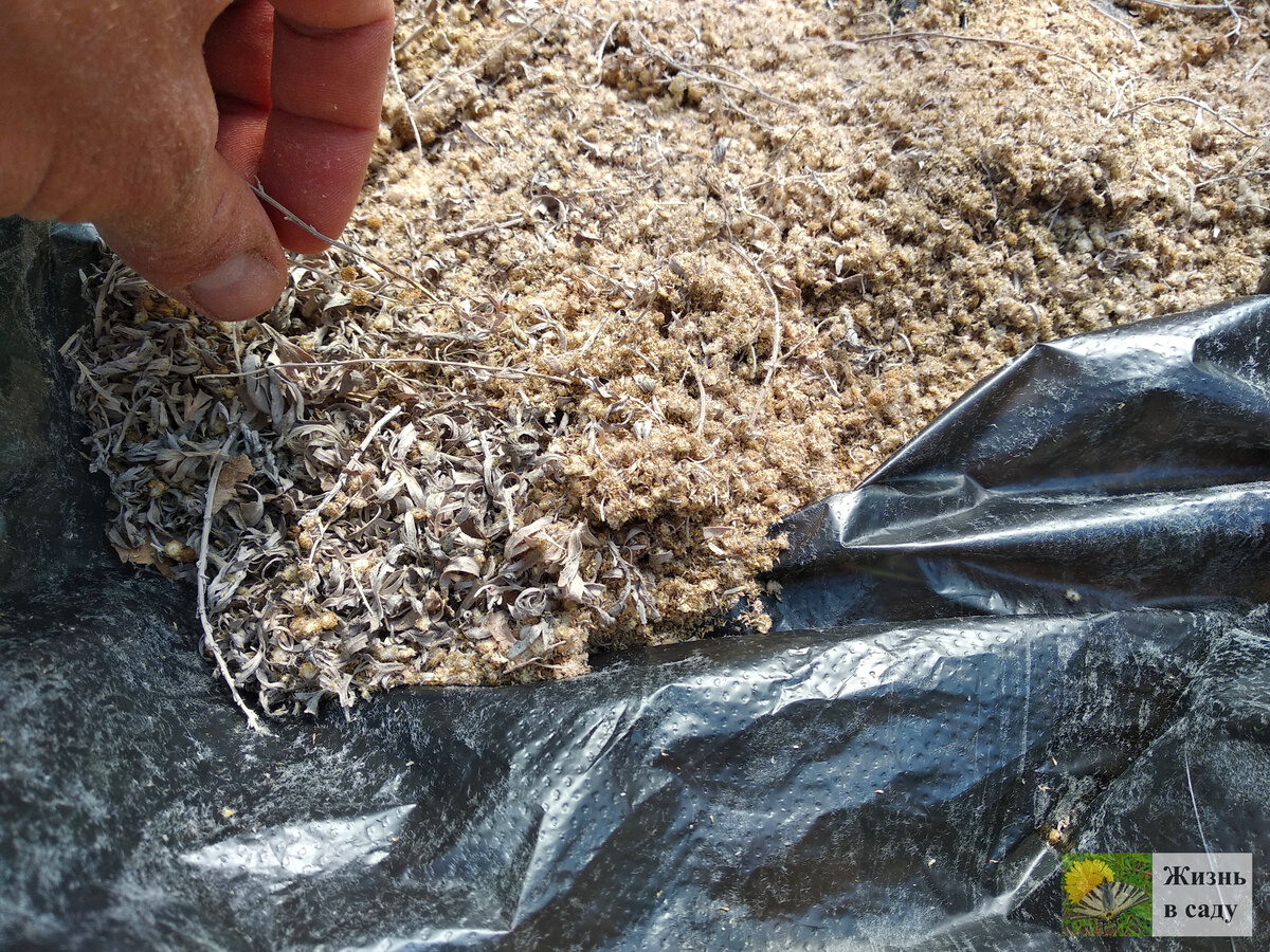 Анекдоты лиша плохий шуток. Рыбья труха. Собчак о 12 сантиметрах яшина. Новоегоровка харьковская область новости сегодня. Труха телеграмм на русском.