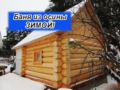 Можно ли строить баню из осины