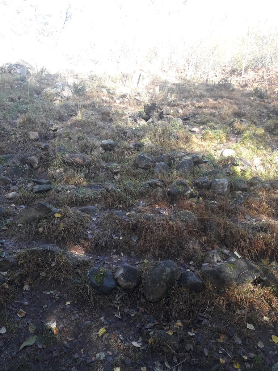 Протосаамский лабиринт. Карелия