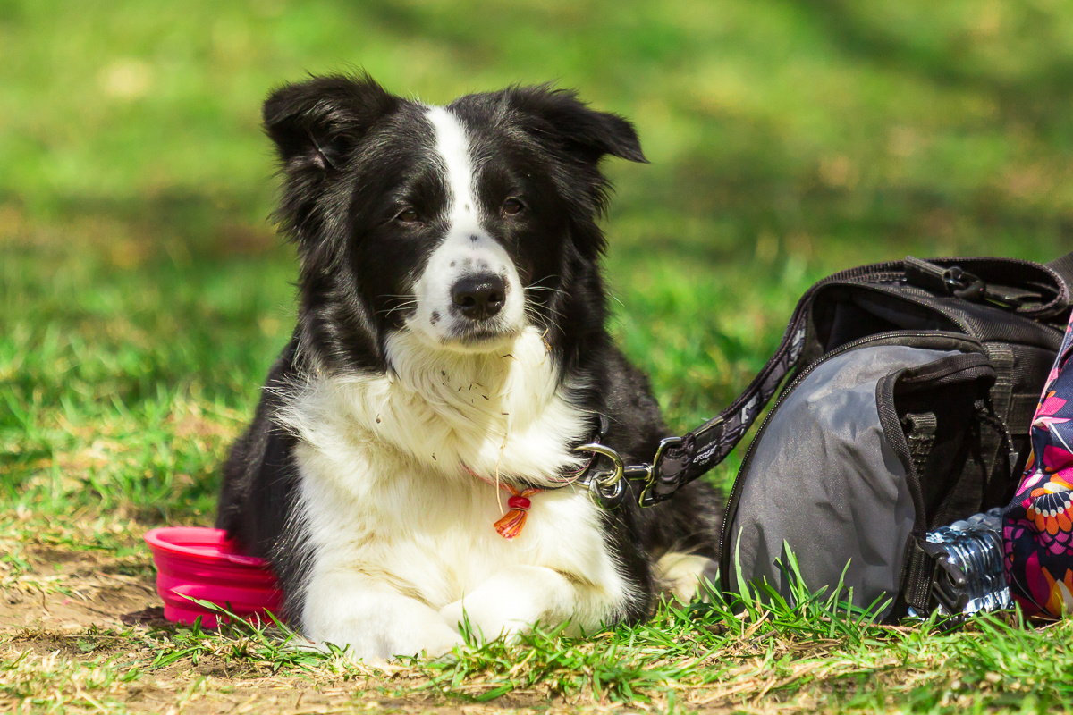 В ожидании начала соревнований.