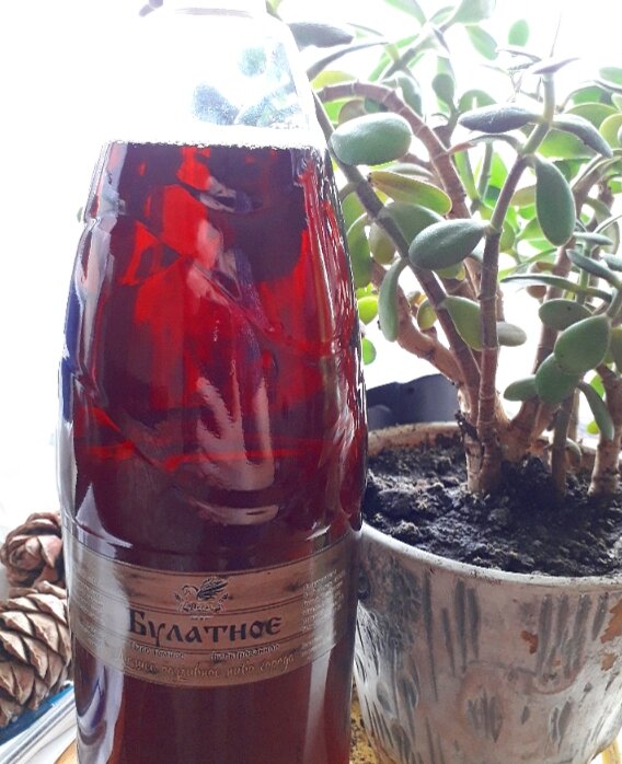 А пиво ему понравилось, кстати)))