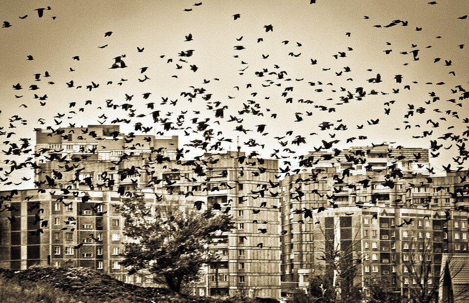 Автор:КАНАЛ СТРАХОВ