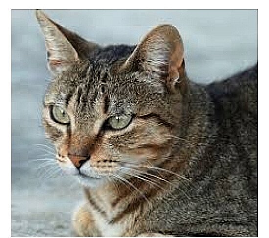 Фото из интернета, увы настоящего не осталось 